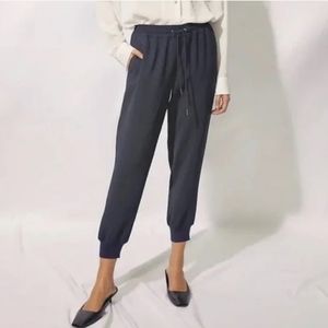 Aritzia Navy Jogger Pants